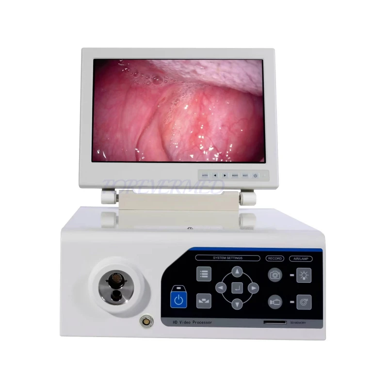 Veterinary Endoscopy Equipment best Veterinary Endoscopy Equipment best