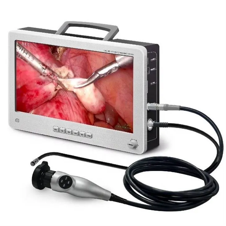 Integrovaný zobrazovací systém s rozlíšením Full HD